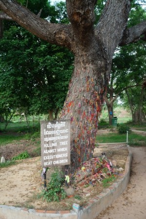 Tree used to kill babies