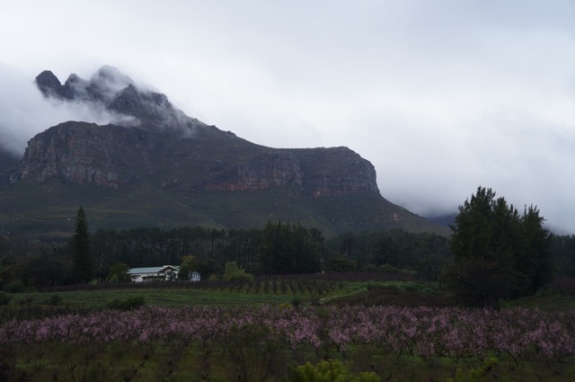 South African Wine Country