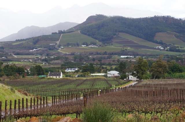 South African Wine Country
